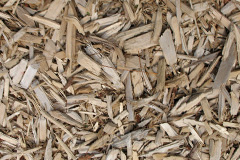 biomass boilers Treffynnon